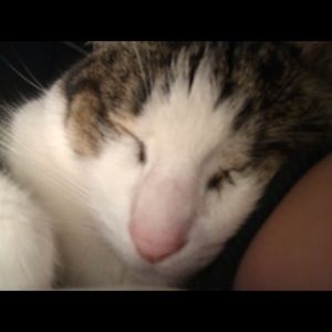 Meet your Posher, Jun haeng